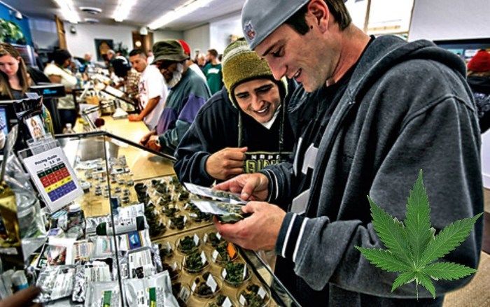 Venda de maconha legalizada (Crédito: Divulgação)