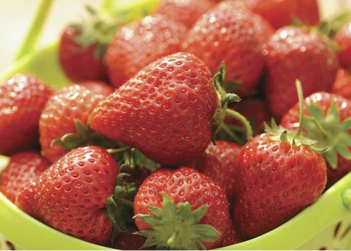 Dicas de alimentos para comer antes da folia e não sentir ressaca