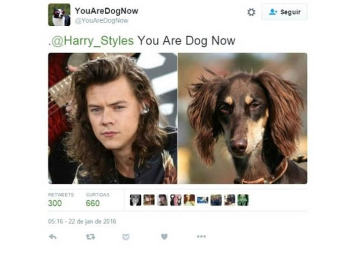 Harry Styles
