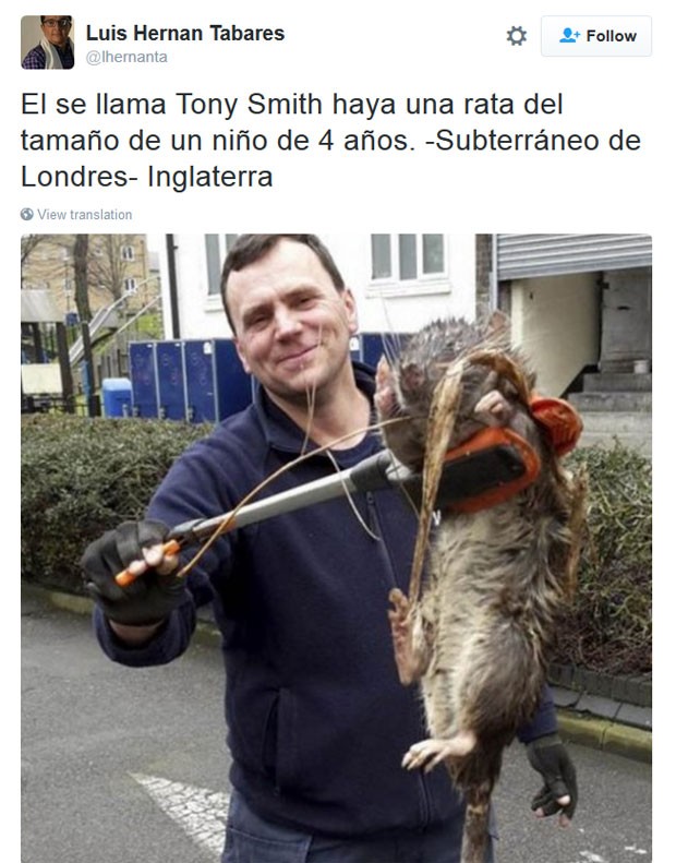 Homem com rato gigante (Crédito: Divulgação)