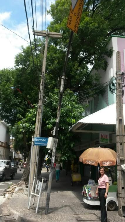 Oitizeiro no centro de Teresina