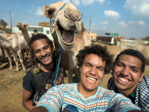 Dromedário posa sorridente em selfie e vira hit nas redes sociais (Crédito: Reprodução)