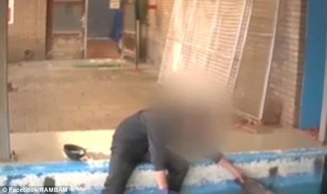 Homem flagrado em ato íntimo com golfinho (Crédito: Divulgação)