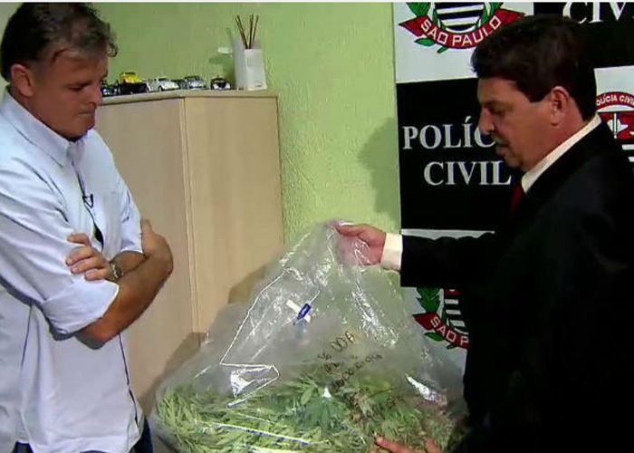 Delegado avalia a planta apreendida