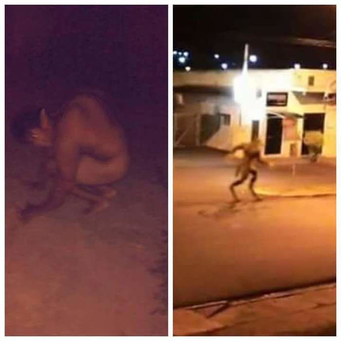Imagens de um suposto lobisomem