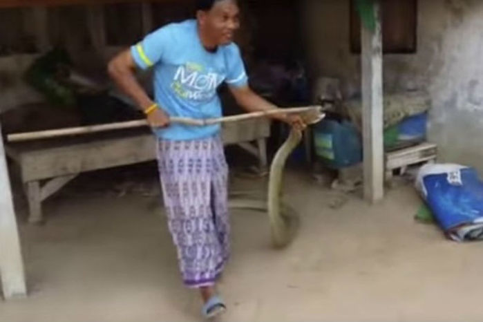 Homem pegou cobra com vassoura e depois com as mãos