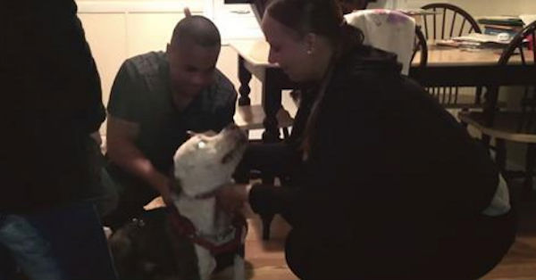Donos de cachorro desaparecido a três anos recuperam animal (Crédito: Reprodução)