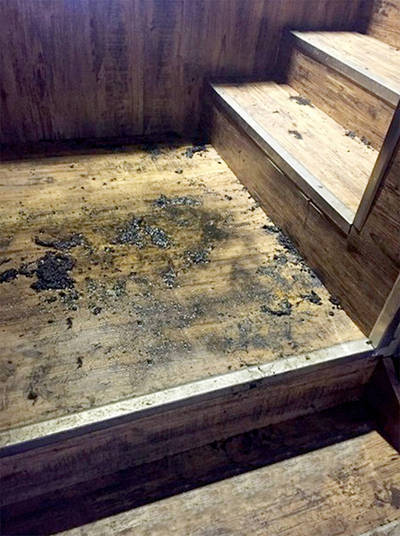 Jovem incendeia próprio corpo durante discussão com melhor amiga (Crédito: Reprodução)