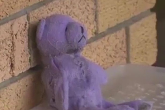 Píton comeu o urso de pelúcia e acabou se dando mal