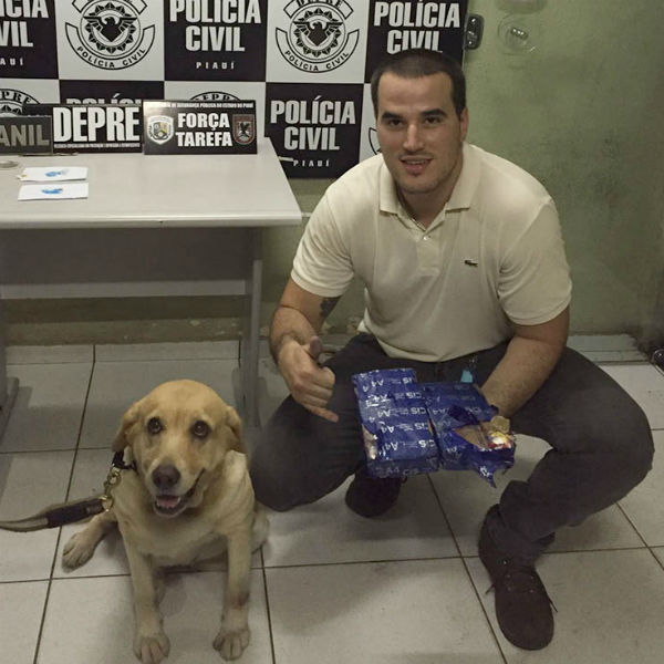 (Crédito: Divulgação/Polícia Civil)