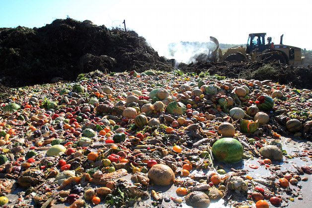 Alimentos desperdiçados