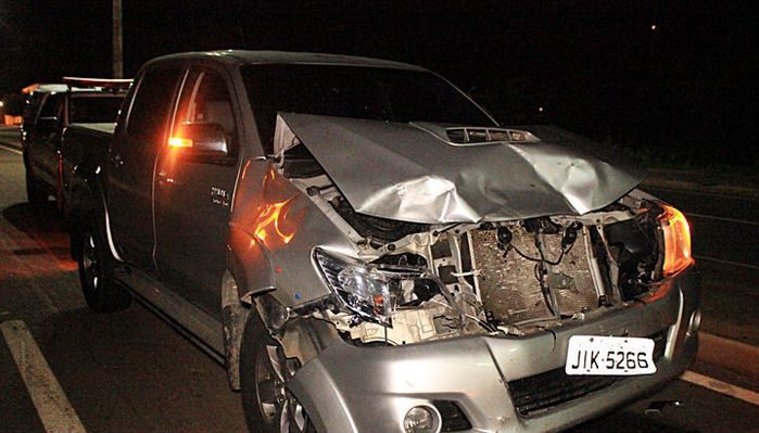 Hilux ficou parcialmente destruída após colisão com cavalo na BR-316