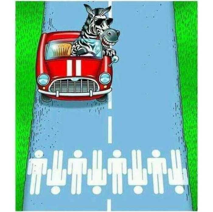 Faixa de pedestre (Crédito: Reprodução)