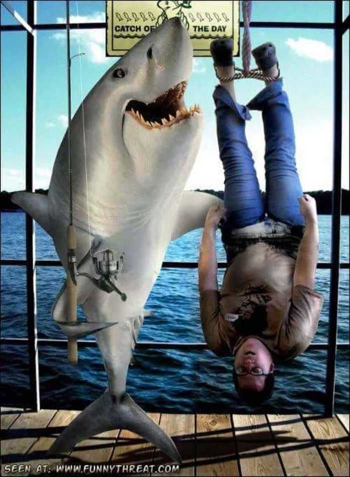 Exibindo a pesca (Crédito: Reprodução)