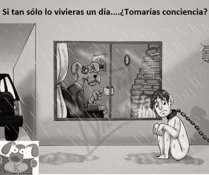 Dia de chuva (Crédito: Reprodução)