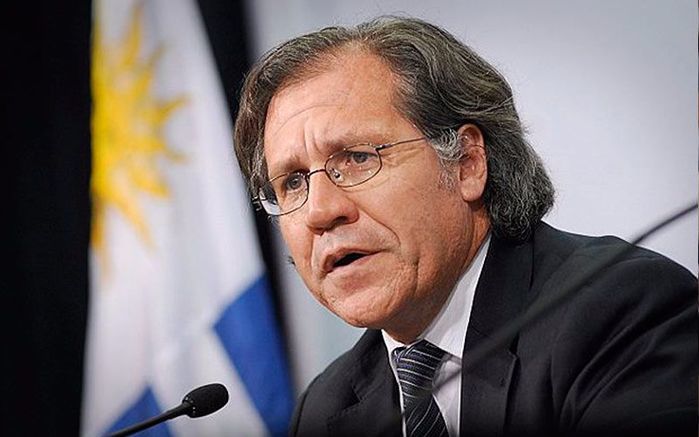 Luís Almagro (Crédito: Reprodução)