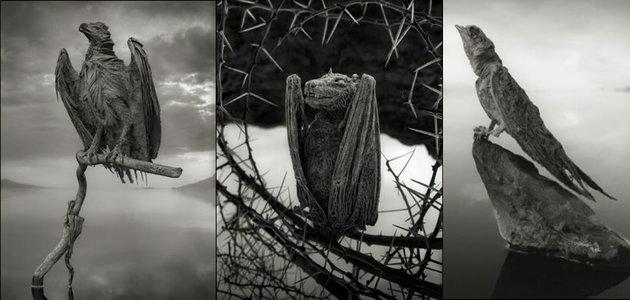 Conheça o lago que transforma tudo que toca em estátua. Fotos!