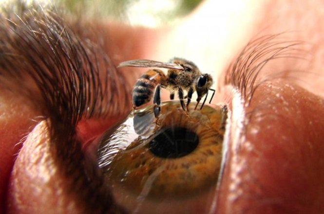 7 imagens que vão deixar você inquieto
