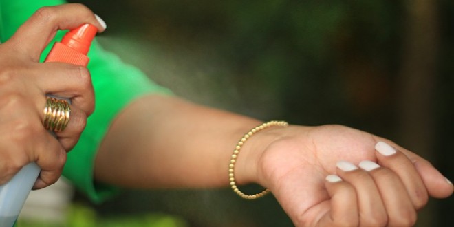 Repelente serão ofertados para mulheres gestantes