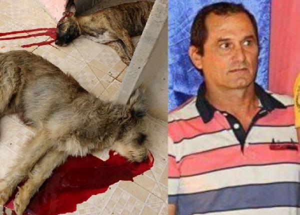 Homem mata cães (Crédito: Divulgação)