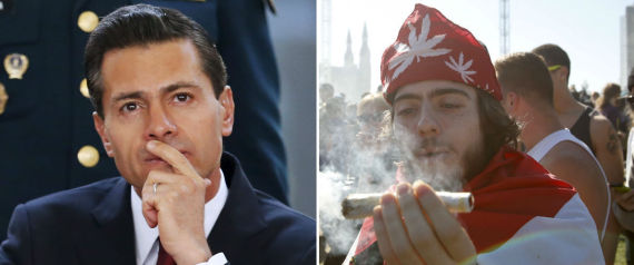 Legalização da maconha (Crédito: Reprodução)