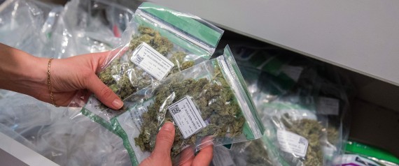 Estado americano pode incluir viciados em heroína na lista de pacientes que usam maconha medicinal