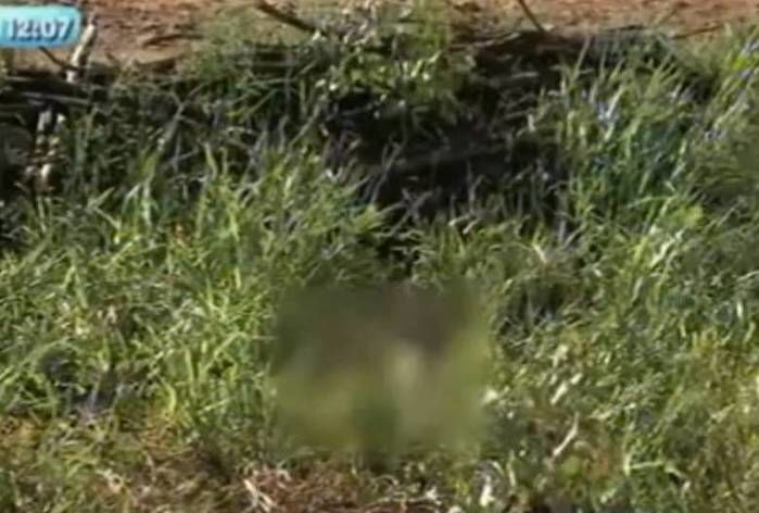 Mulher deficiente auditiva encontrada morta (Crédito: Reprodução)