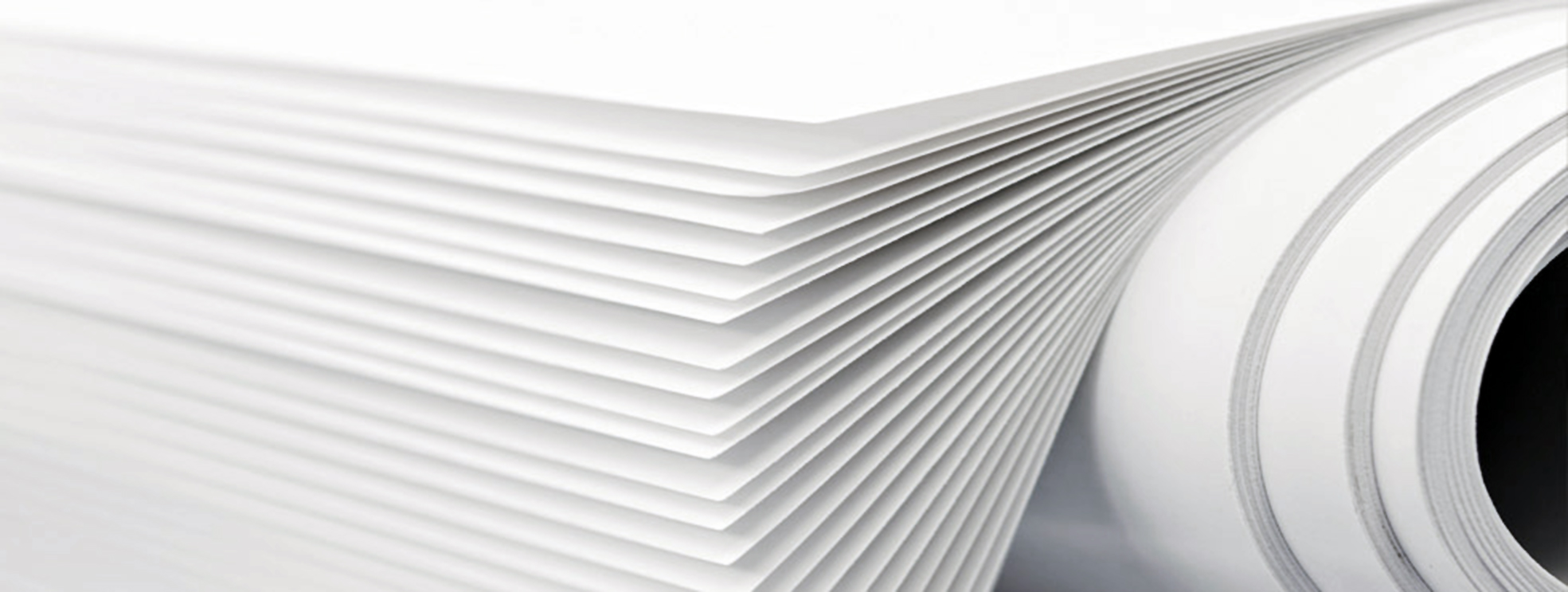 8 coisas impressionantes que voc pode fazer com papel