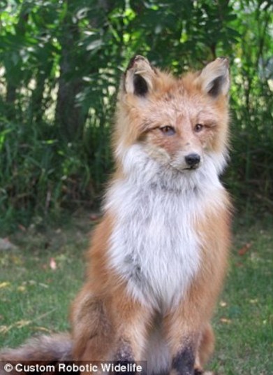 Animais robôs parecem seres vivos