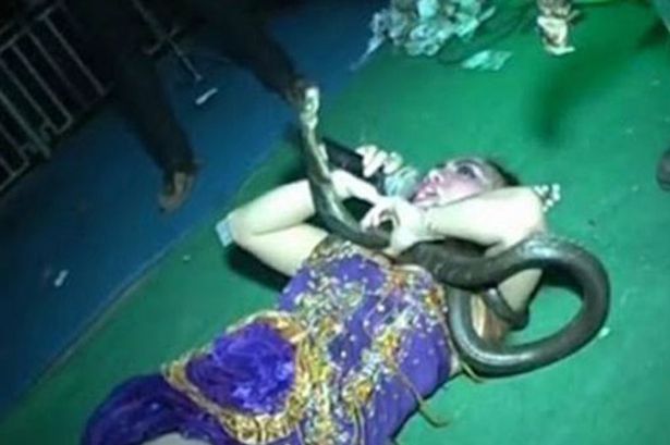 Cantora morreu após ser picada por cobra