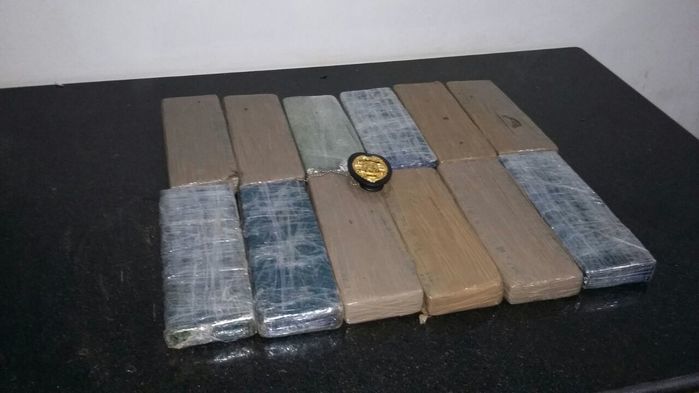 Maconha apreendida (Crédito: Reprodução)