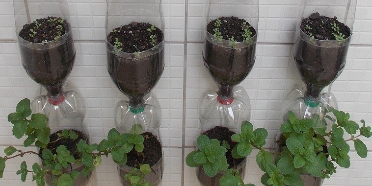 Manual mostra como montar horta vertical com sistema próprio