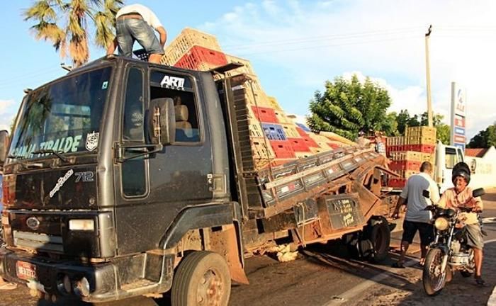 Caminhão tomba e carga de frango se espalha na BR-343 (Crédito: Reprodução)