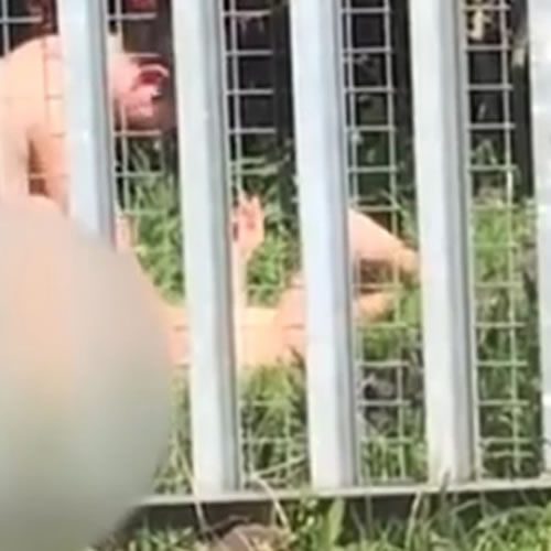 Casal flagrado fazendo sexo em plena luz do dia (Crédito: Reprodução/Youtube)