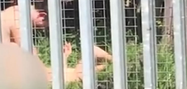 Casal é flagrado fazendo sexo perto de universidade; veja imagens!