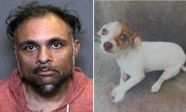 Joshua West foi preso após polícia descobrir que seu cachorro estava viciado em drogas