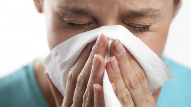 Influenza A (Crédito: Reprodução)