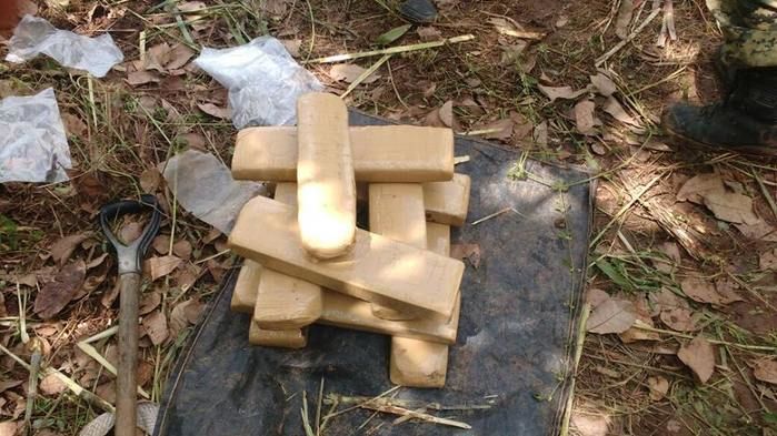 Maconha apreendida (Crédito: Reprodução)