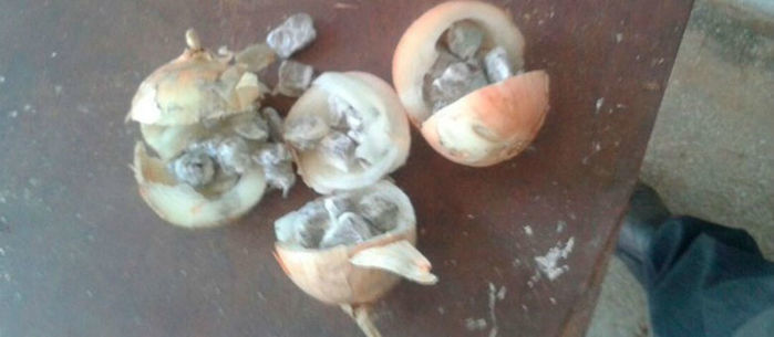 Foram apreendidas três cebolas recheadas com maconha