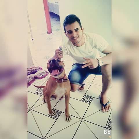 Lucas Pitbull (Crédito: Reprodução)