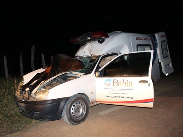 Cavalo entrou por para-brisa de carro em acidente (Crédito: Sessé Guimmas/MedeirosDiaDia)