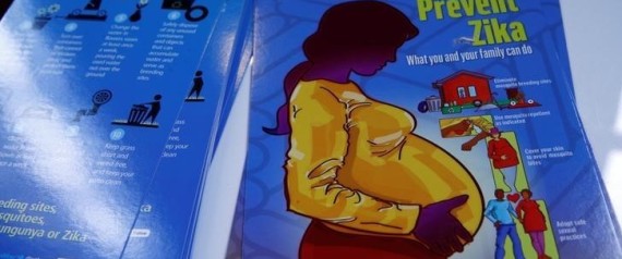 Zika Vírus (Crédito: Reprodução)