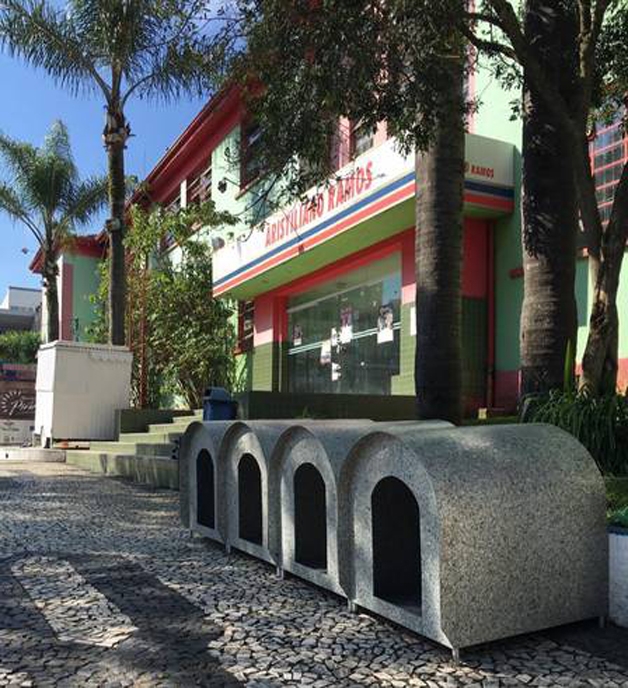 Projeto criado para abrigar câes de rua (Crédito: Reprodução)