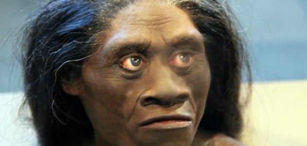 Pesquisadores encontram ossos de humanos parentes dos Hobbits