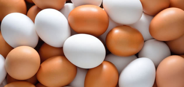 Saiba a diferença entre ovos brancos e marrons