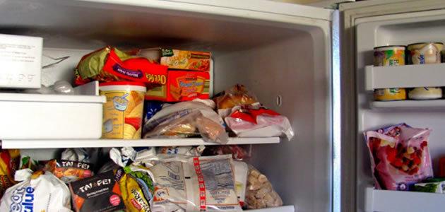 Saiba que alimentos não devem ser colocados no freezer