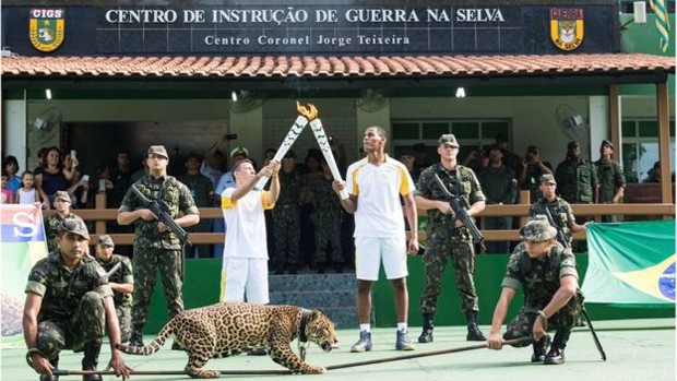 Onça é morta após percurso da Tocha Olímpica em Manaus (Crédito: REPRODUÇÃO)