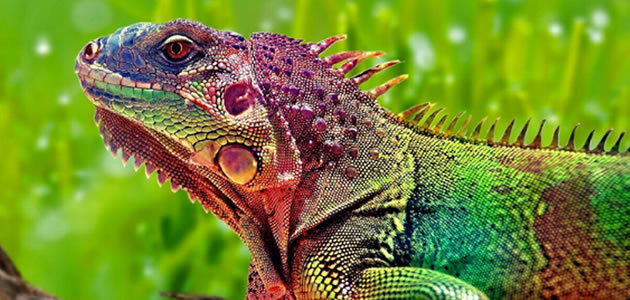 9 coisas que apreendemos errado na escola