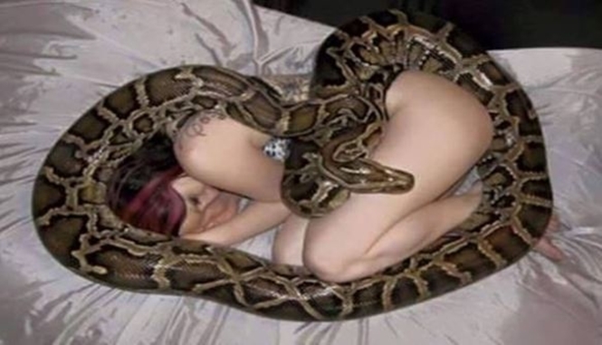 Mulher que dormia com cobra todas as noites fica aterrorizada (Crédito: Divulgação)