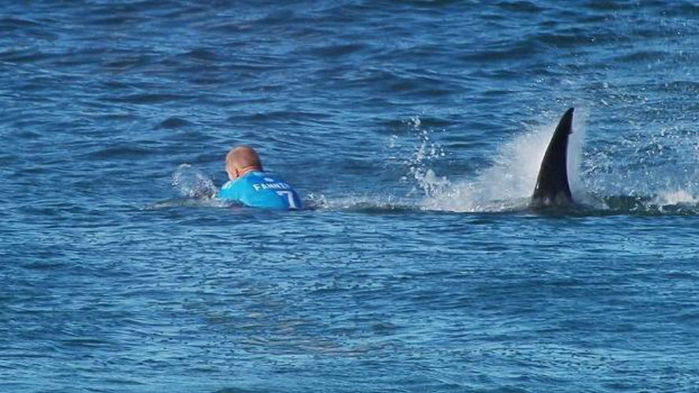 Mick Fanning foi atacado por tubarão na final da etapa de J-Bay (Crédito: WSL)